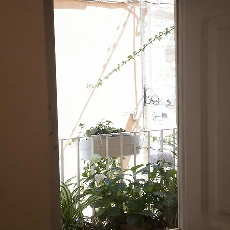 La Pupa Coi Baffi Appartement